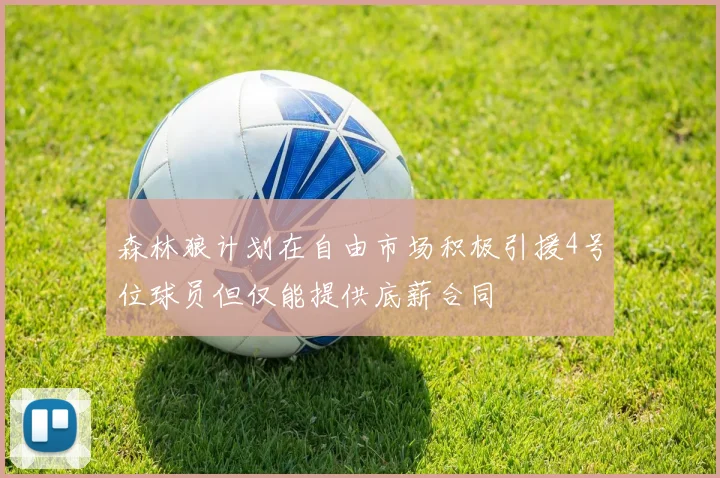 森林狼计划在自由市场积极引援4号位球员但仅能提供底薪合同