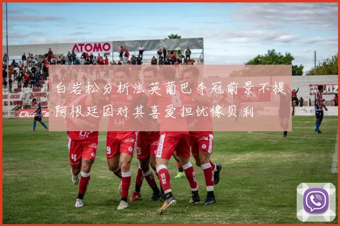 白岩松分析法英葡巴夺冠前景不提阿根廷因对其喜爱担忧像贝利